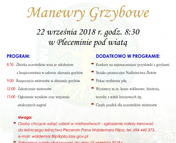 Zapraszamy na manewry grzybowe